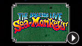 Sea Monkeys TV